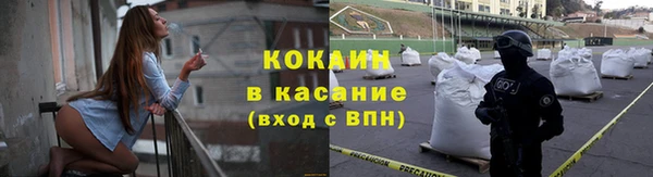 стаф Пересвет