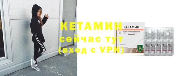 стаф Пересвет
