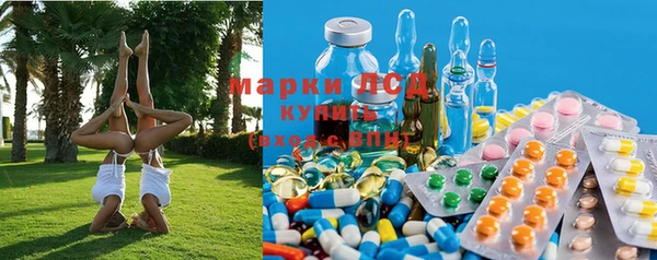 сатива Покров