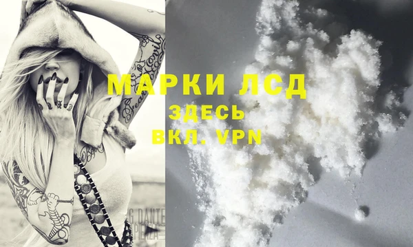 стаф Пересвет