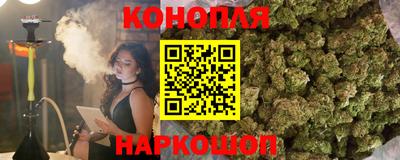 Альфа ПВП Беслан