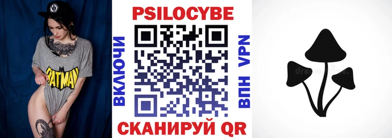 mega ссылка  продажа наркотиков  Торжок  Псилоцибиновые грибы Cubensis 