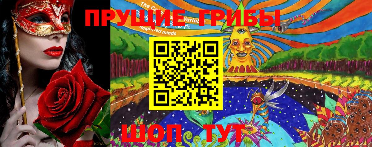 Псилоцибиновые грибы GOLDEN TEACHER Торжок